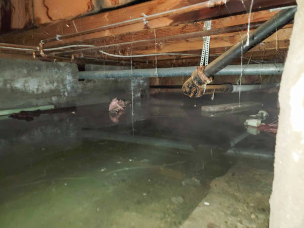 Best Commercial water damage restoration  in Groesbeck, TX