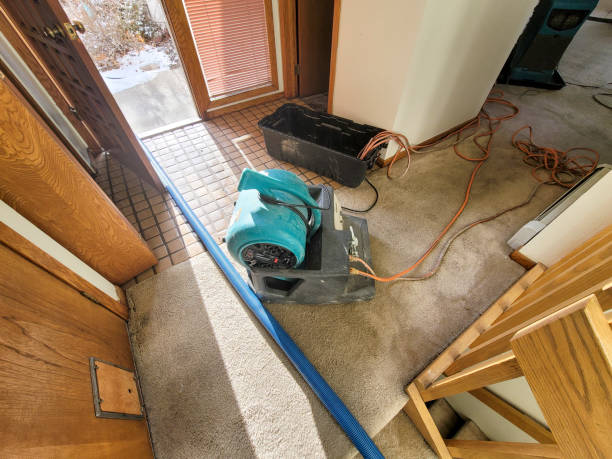 Best Commercial water damage restoration  in Groesbeck, TX