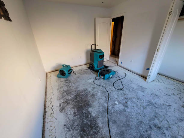 Best Professional water damage repair  in Groesbeck, TX