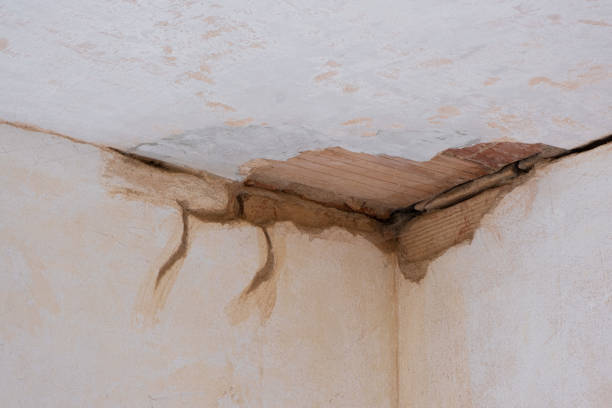Best Water damage repair service  in Groesbeck, TX