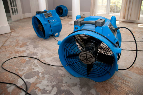Best Basement water damage restoration  in Groesbeck, TX