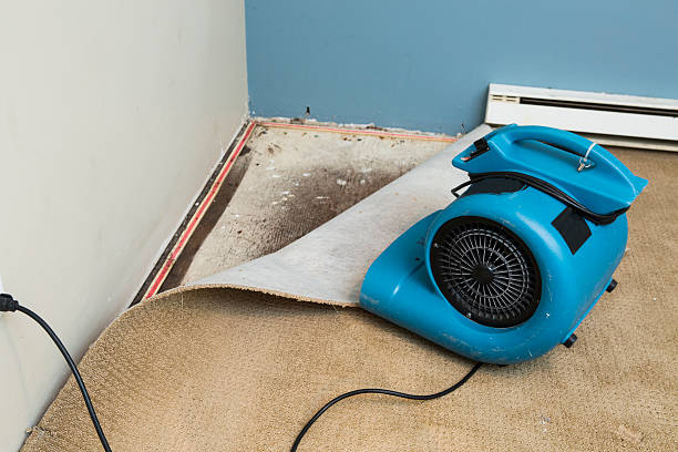 Best Ceiling water damage repair  in Groesbeck, TX
